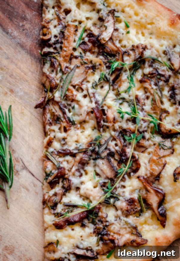 Mushroom Pizza with Havarti Cheese, Fresh, Herbs, and Truffle Oil Mushroom Pizza with Havarti Cheese, Fresh, Herbs, and Truffle Oil