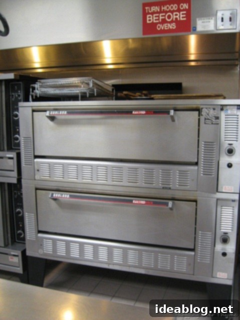 Day 33: A Slice of Pizza Heaven 4 professional deck oven