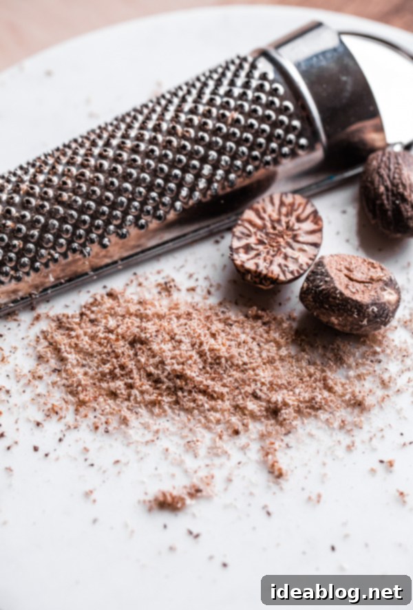 Zencefilli Kurabiye Arası Yumurtalı Sütlü Dondurma 4 Freshly grated nutmeg