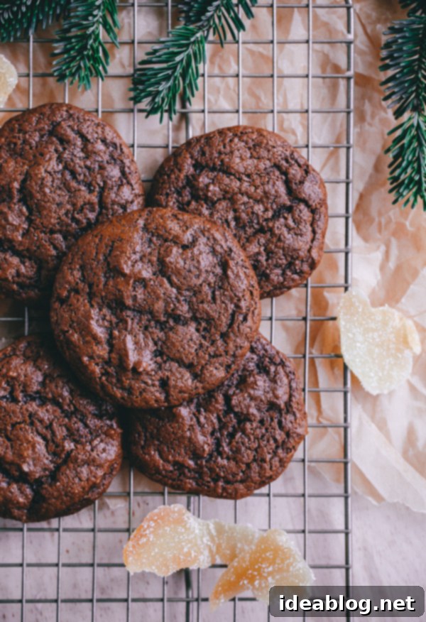 Zencefilli Kurabiye Arası Yumurtalı Sütlü Dondurma 5 Gingerbread Cookies