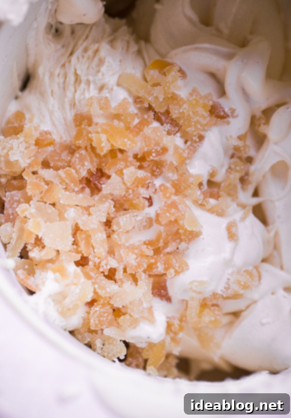 Zencefilli Kurabiye Arası Yumurtalı Sütlü Dondurma 6 Eggnog Ice Cream with Candied Ginger Pieces