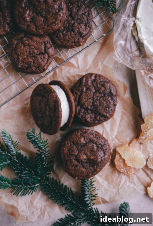 Zencefilli Kurabiye Arası Yumurtalı Sütlü Dondurma 7 Gingerbread and Eggnog Ice Cream Cookie Sandwiches