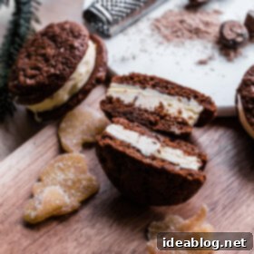 Zencefilli Kurabiye Arası Yumurtalı Sütlü Dondurma 8 Gingerbread and Eggnog Ice Cream Cookie Sandwiches