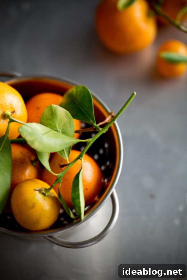 Blogging Over Thyme: Photography & Fine Art Prints 3 Blogging Over thyme Society6 Store