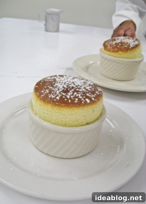Day 28 Braised Duck Leg with Vichyssoise and Souffle 4 souffle