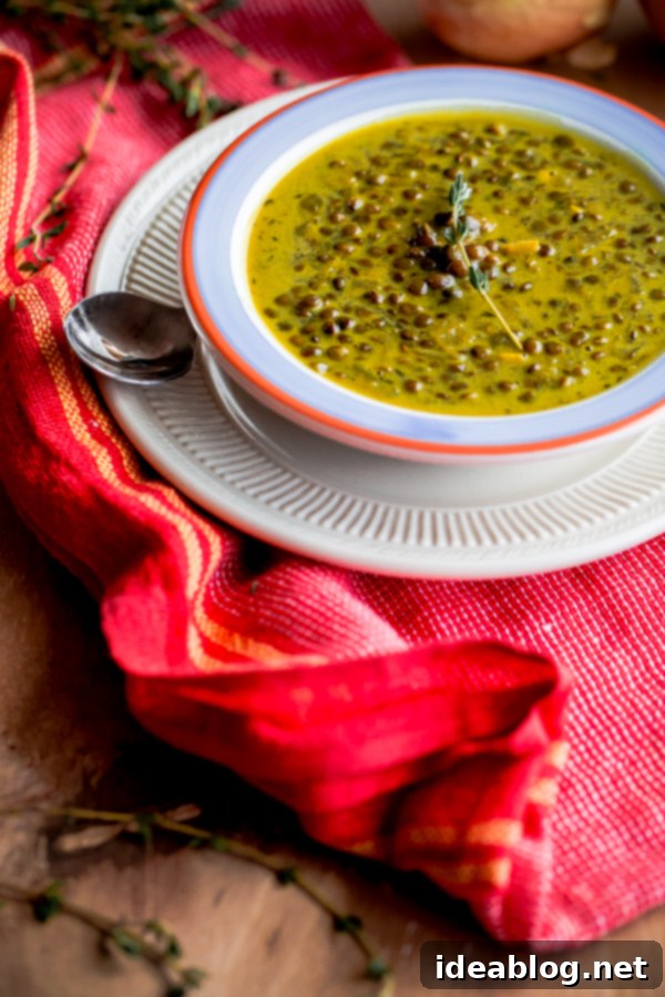 Healthy Indian Spiced Lentil Soup Recipe Rich and creamy Green Lentil Soup with coconut milk and Indian spices, garnished with fresh herbs