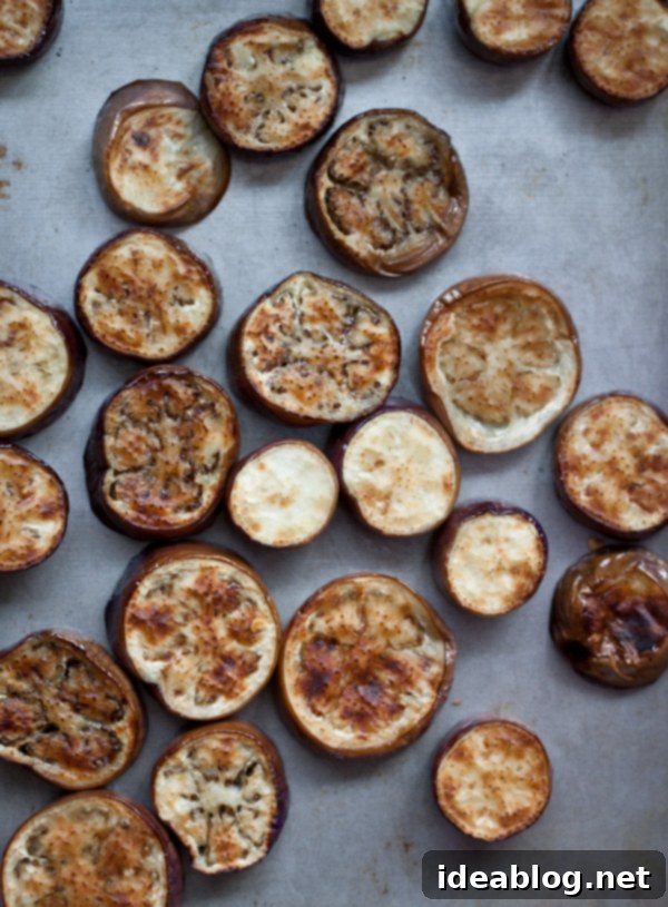 Easy Thai Eggplant Side Dish Recipe Sliced Roasted Thai Eggplant Rounds with fresh herbs on a sheet pan
