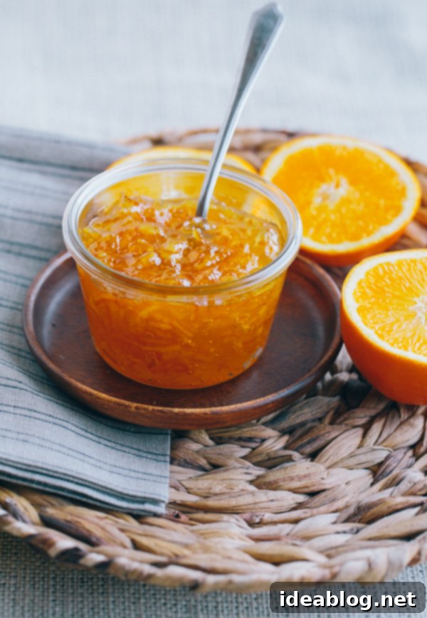 Golden Orange Coconut Chill 3 Orange Marmalade