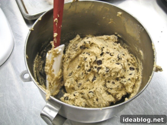 Day 26 A Taste of Thailand 7 cookie dough