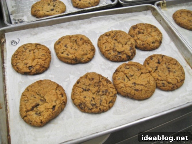 Day 26 A Taste of Thailand 8 chocolate chip cookies