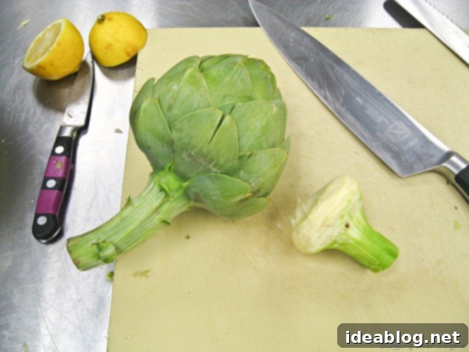 Day 24 French Feast Artichoke Chasseur Napoleon 2 Fresh Artichoke Hearts for La Salade de Fonds Artichauts à la Grecque