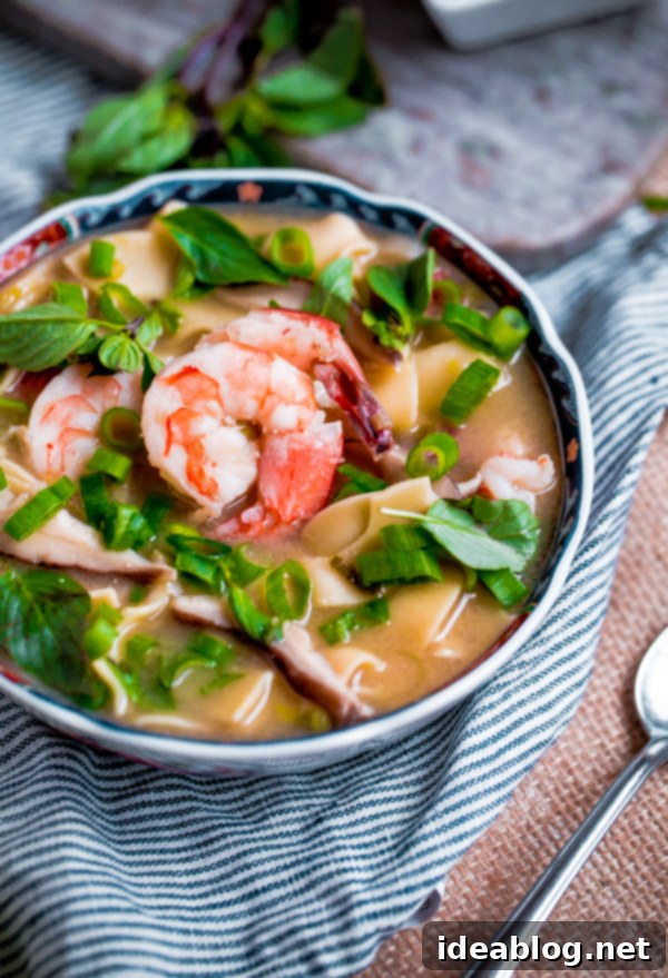 Aromatic Asian Shrimp Noodle Bowl 2 Comforting Asian Shrimp Noodle Soup