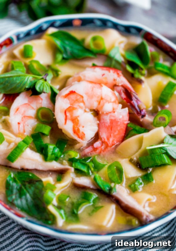 Aromatic Asian Shrimp Noodle Bowl 6 Finished Asian Shrimp Noodle Soup