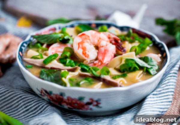 Aromatic Asian Shrimp Noodle Bowl 7 Close up of Asian Shrimp Noodle Soup