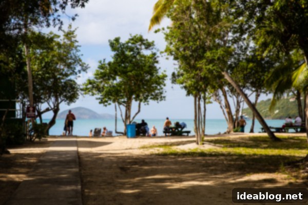 Island Immersion Chapter Two 18 Crystal clear waters of Magen's Bay beach, St. Thomas