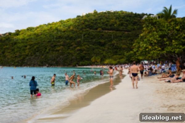 Island Immersion Chapter Two 20 Scenic coastline view of Magen's Bay with lush green hills