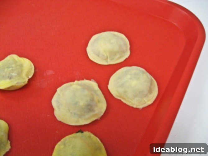 Homemade Comfort: Ravioli, Scrambled Eggs and Brownies 3 Close-up of Shrimp Ravioli Filling Preparation