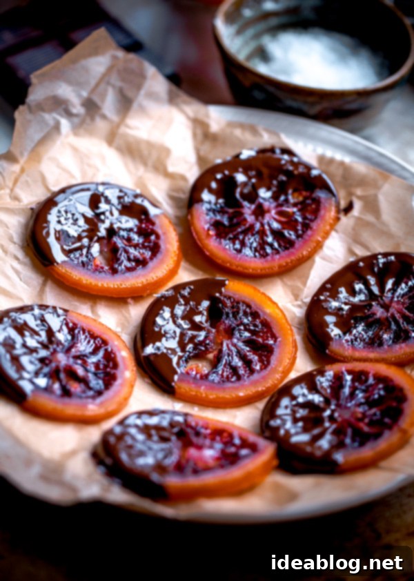 Dark Chocolate Blood Orange Confits 2 Homemade Candied Blood Orange Slices with Dark Chocolate