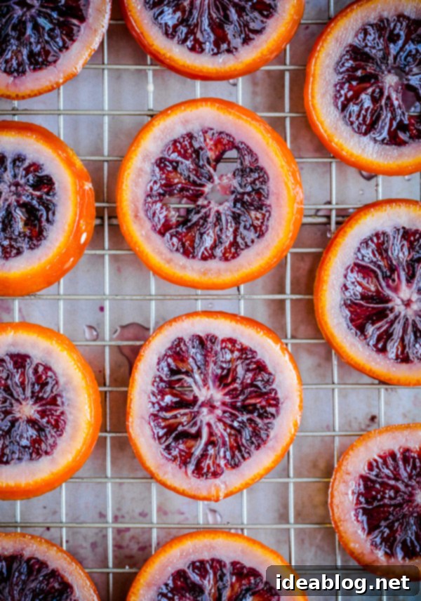 Dark Chocolate Blood Orange Confits 5 Candied Blood Orange Slices on Rack