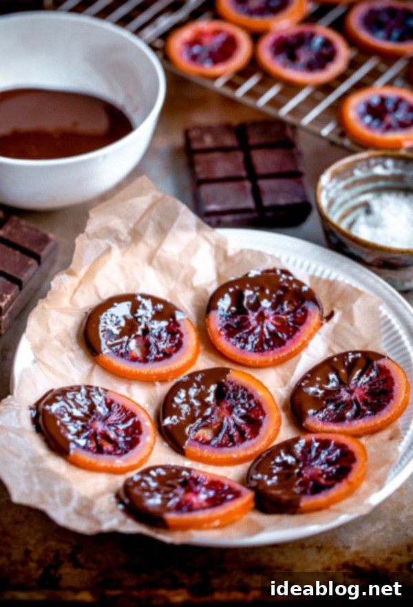 Dark Chocolate Blood Orange Confits 6 Homemade Candied Blood Orange Slices with Dark Chocolate