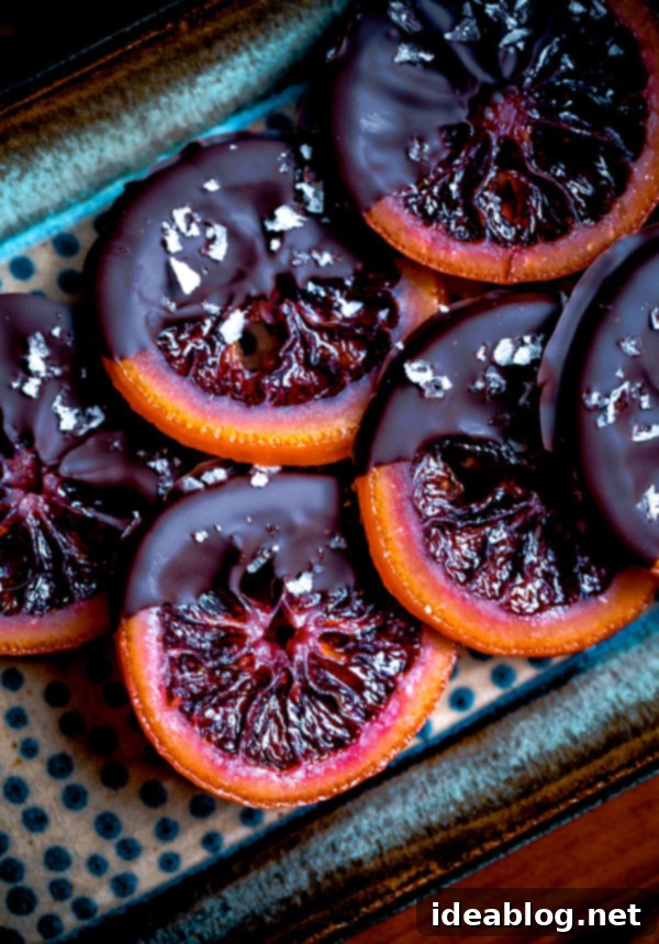 Dark Chocolate Blood Orange Confits 7 Chocolate Coated Candied Blood Oranges