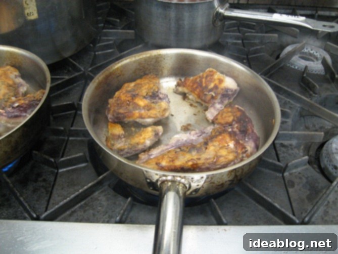 Day 18: An Unexpected Feast - Coq Au Vin, Tarte Tatin, and Dim Sum 3 Marinated Chicken for Coq Au Vin