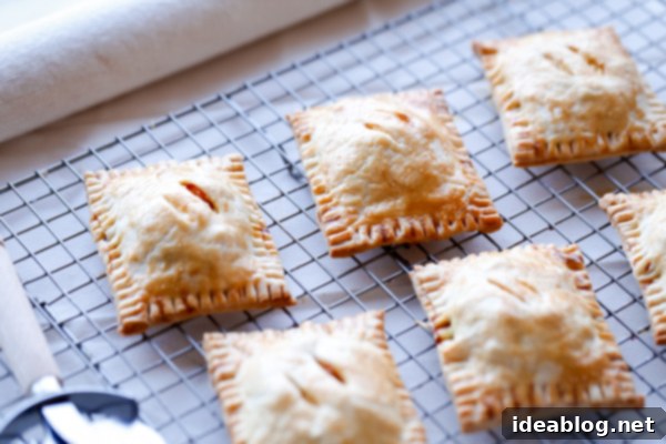 Golden Butternut Feta Hand Pies 12 Baked Butternut Squash Feta Hand Pies