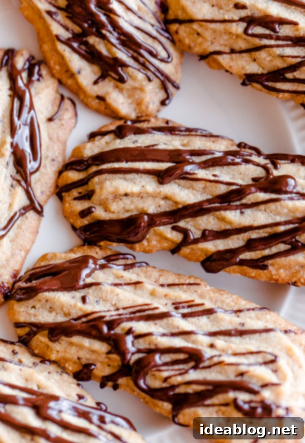 Decadent Espresso Hazelnut Cookies with Dark Chocolate Drizzle 7 Espresso Hazelnut Cookies with Dark Chocolate Drizzle