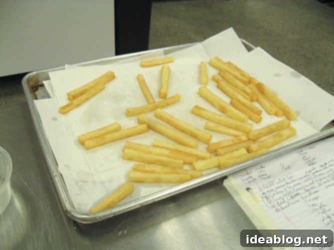 Day 16: French Bistro Delights 4 Crispy, golden-brown hand-cut french fries, a staple of French cuisine, ready to be enjoyed with the hanger steak.