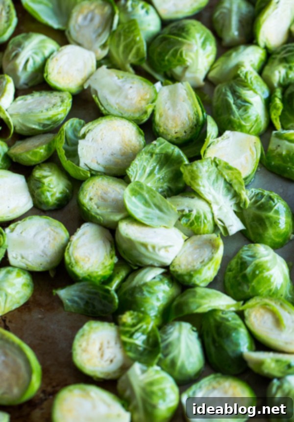 Pomegranate Brussels Sprout Salad with Hazelnuts and Parmesan 4 Brussels sprout Halves