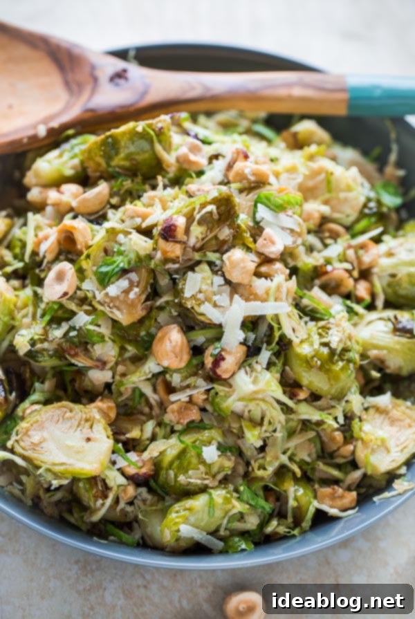 Pomegranate Brussels Sprout Salad with Hazelnuts and Parmesan 5 Brussels Sprouts Salad with Hazelnuts Parmesan and Pomegranate Molasses Vinaigrette