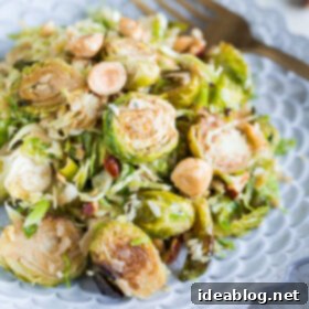 Pomegranate Brussels Sprout Salad with Hazelnuts and Parmesan 7 Brussels Sprouts Salad with Hazelnuts Parmesan and Pomegranate Molasses Vinaigrette