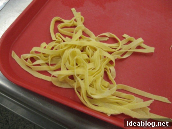 Day 13: Crafting Pasta, Omelets & Paris-Brest 3 homemade_pasta2