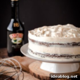 Decadent Guinness Stout Cake with Bailey's Cream Cheese Frosting 3 Guinness Stout Cake with Bailey's Cream Cheese Frosting. The ultimate St.Patrick's Day dessert!
