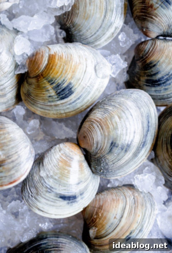 Chorizo and Ale Steamed Clams with Crisp Fennel Salad 7 Clams