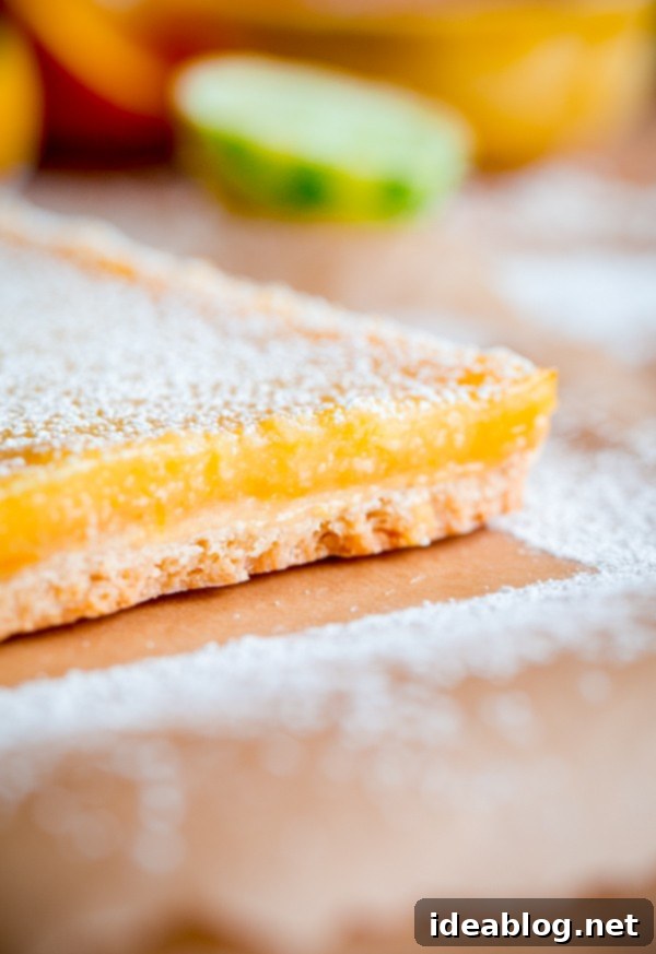 Bright Citrus Coconut Shortbread 7 Multiple Four Citrus Coconut Shortbread Bars arranged neatly, highlighting their golden color and smooth texture