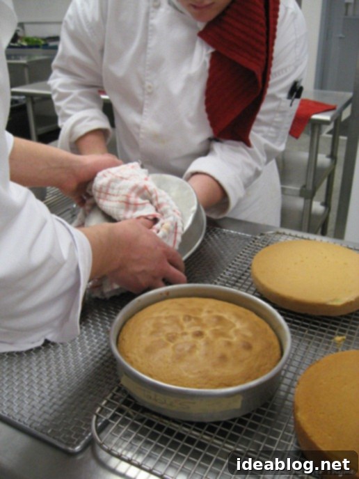 Day 4: Fresh Fruit Macedoine and Strawberry Tart Perfection 7 genoise cake