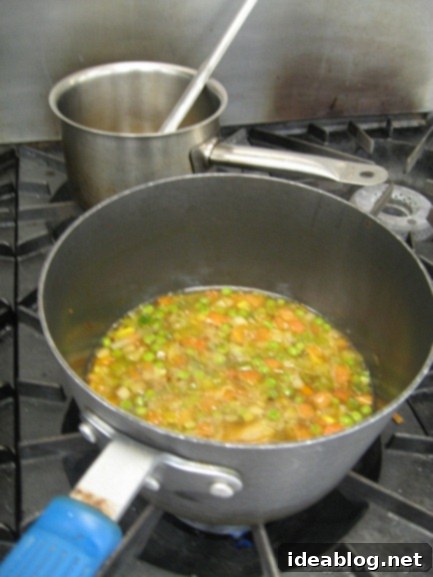 Day 3: Hearty Farmhouse Soup 3 Vegetable Soup