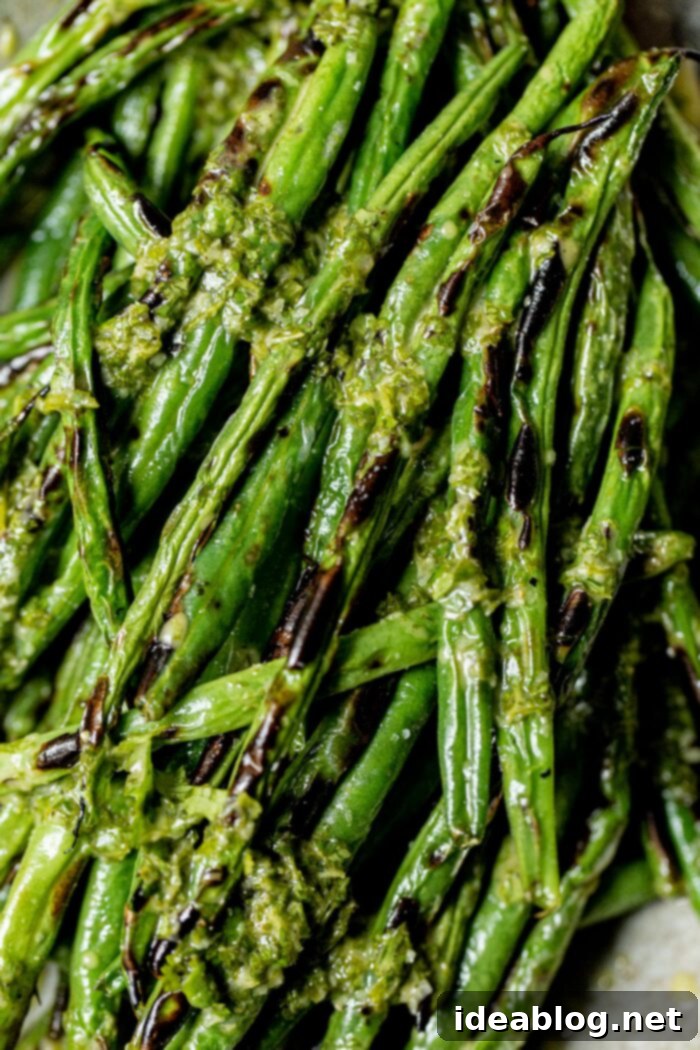 Fire-Kissed Green Beans with Zesty Cilantro Dressing 3 Charred Green Beans with Cilantro Vinaigrette in a bowl, ready to be served