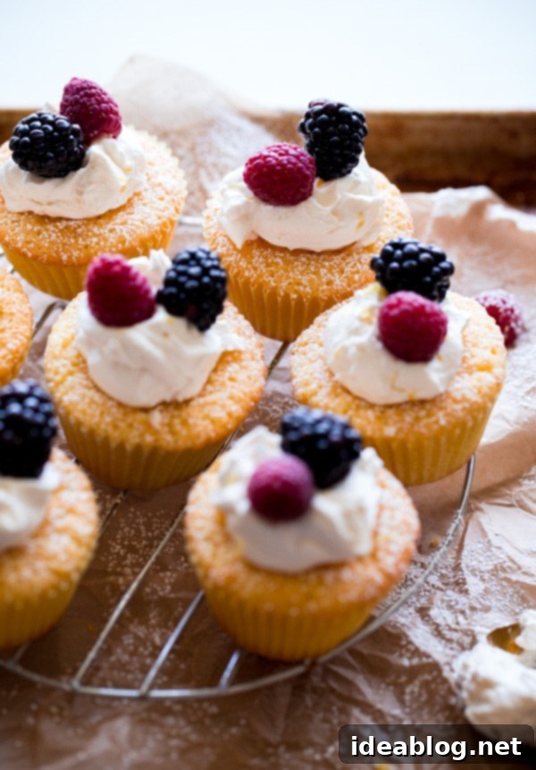 Golden Corn Cakes with Mascarpone Cloud and Berry Medley 4 Mini Cornmeal Cakes with Whipped Mascarpone and Fresh Berries