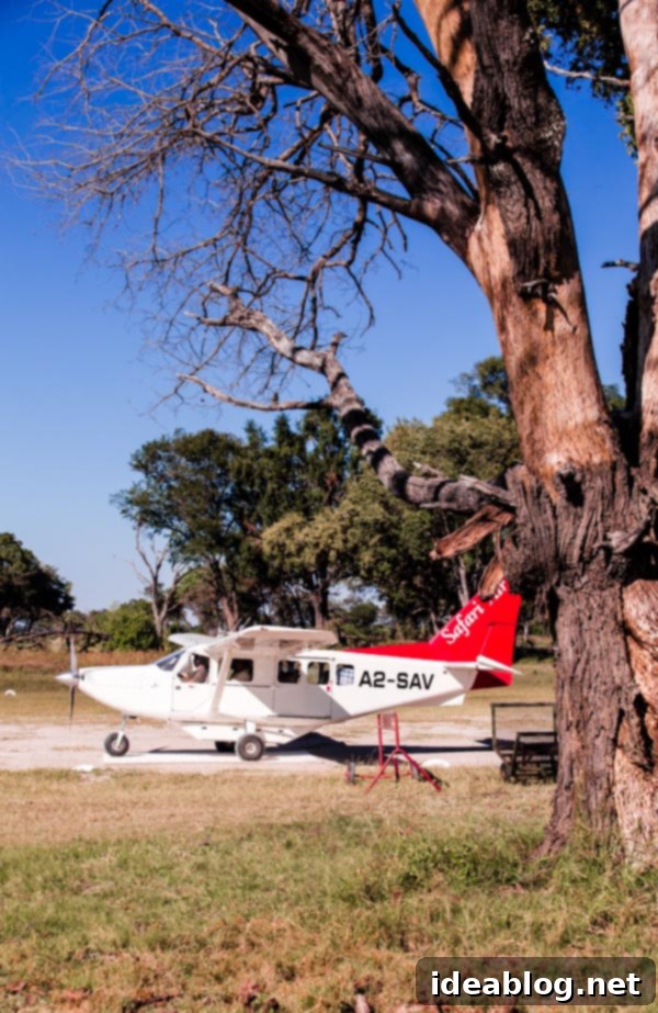 Botswana's Okavango Delta A River of Life 2 Okavango Delta, Botswana Wildlife Safari