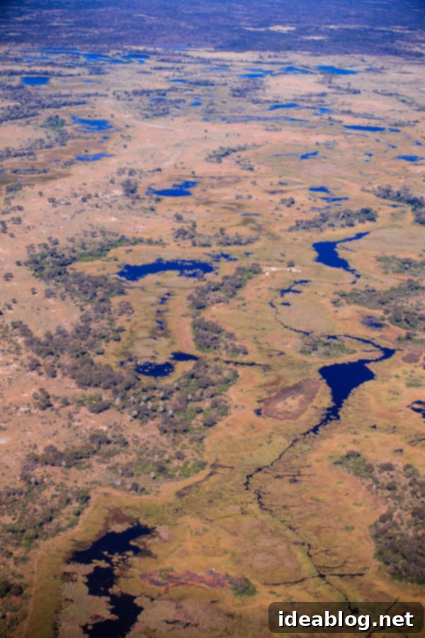 Botswana's Okavango Delta A River of Life 3 Stunning Okavango Delta, Botswana Landscape