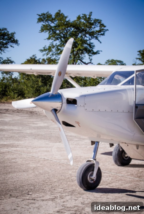 Botswana's Okavango Delta A River of Life 5 Safari Air Puddle Jumper Landing in Okavango Delta