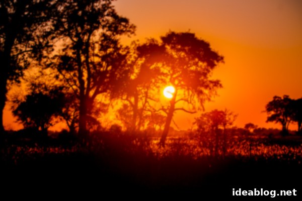 Okavango Delta Botswana The Journey Continues 2 Stunning Sunrise over the Okavango Delta, Botswana