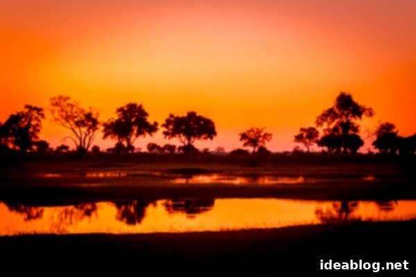 Okavango Delta Botswana The Journey Continues 43 Vibrant Sunset over the Okavango Delta, Botswana