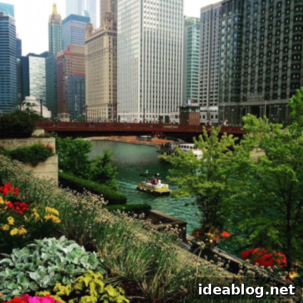 The Sunday Leaf 2 Vibrant Downtown Chicago Skyline with Modern Architecture