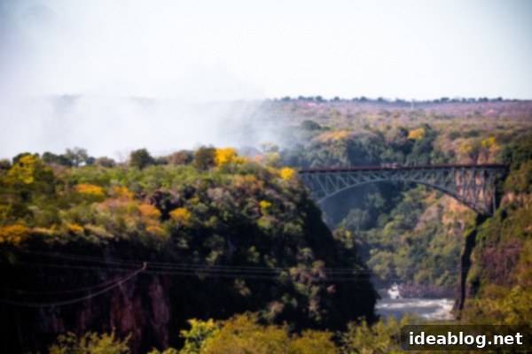 Chobe National Park and Victoria Falls Part Four 30 Victoria Falls Bridge