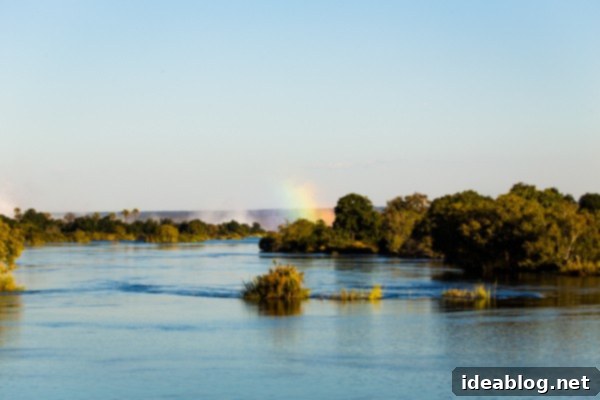Chobe National Park and Victoria Falls Part Four 31 Victoria Falls Sunset Cruise