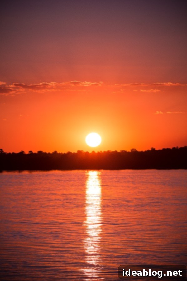 Chobe National Park and Victoria Falls Part Four 34 Victoria Falls Sunset Cruise