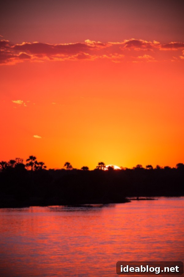 Chobe National Park and Victoria Falls Part Four 35 Victoria Falls Sunset Cruise